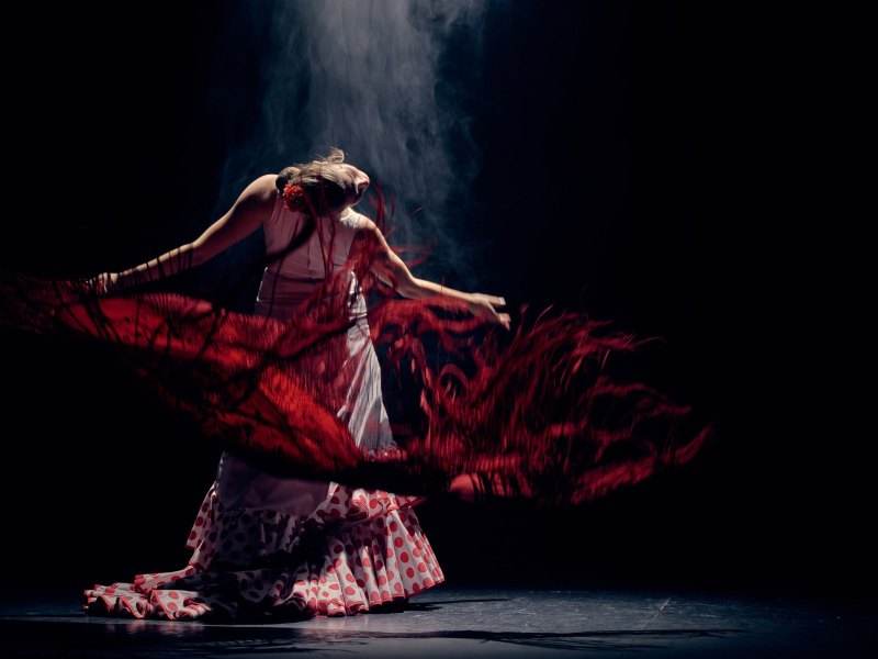 Flamenco Flamenco 3