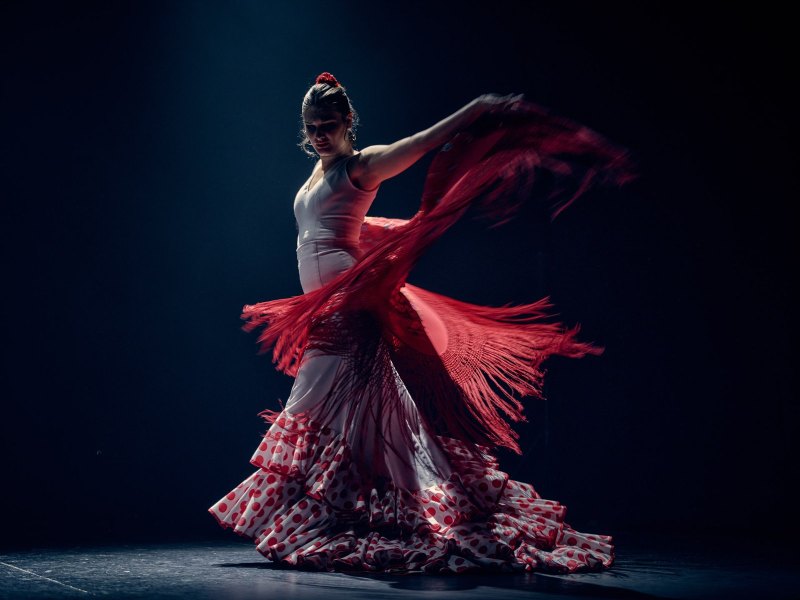 Flamenco Flamenco 2